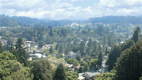 O'reilly scotts valley. Things To Know About O'reilly scotts valley. 